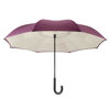 Purple/Cream Stick Umbrella by Galleria