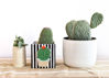 Black Stripe Mini Nesting Cube Medium by Happy Everything!™