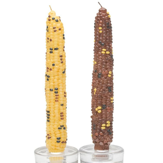 Harvest Corn Taper Candles by TAG