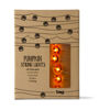 Pumpkin LED String Lights 20ct by TAG