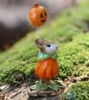 Pumpkin Partier! M-695 by Wee Forest Folk®