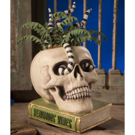 Venomous Vines Skull by Bethany Lowe Designs
