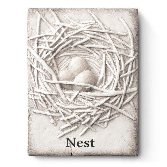 Nest by Sid Dickens
