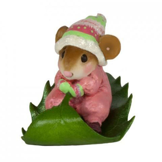 Holly Express M-629 (Pink) By Wee Forest Folk®