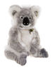 Glen Koala by Charlie Bears™