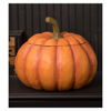 Large Jack O' Lantern Container by Bethany Lowe Designs