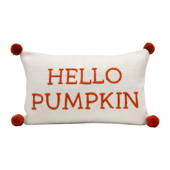 Hello Pumpkin Knit Pillow by Creative Co-op