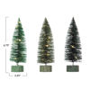 6.5" Bottle Brush Trees with LED Lights Set by Creative Co-op