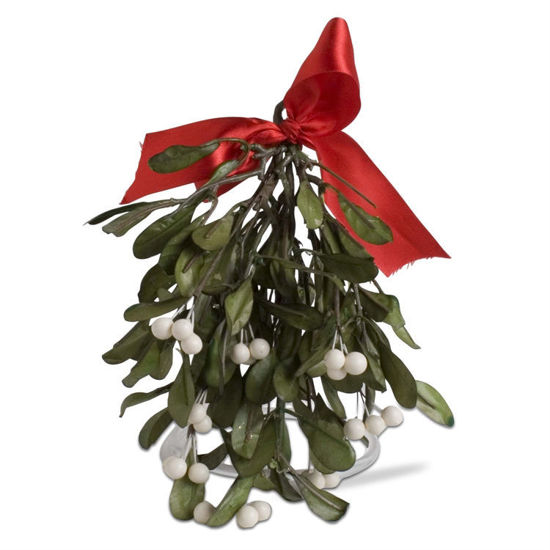 Hanging Artificial Mistletoe by TAG