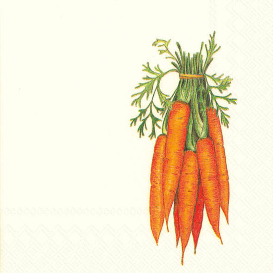 Carrots Cocktail Napkin by Boston International