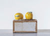 Lemon Salt and Pepper Shakers by Creative Co-op