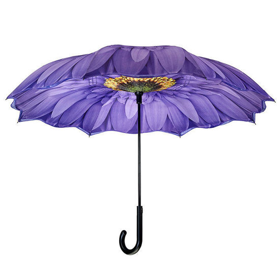 Wisteria Daisy Stick Umbrella Reverse Close by Galleria