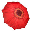 Red Daisy Folding Umbrella by Galleria
