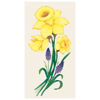 Daffodil Guest Napkins by Hester & Cook