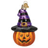 Witch Pumpkin Ornament by Old World Christmas