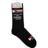 Pride Socks by Primitives by Kathy