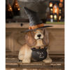 Trick or Treat Dog by Bethany Lowe Designs
