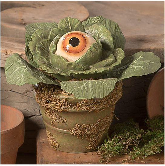 Eerie Eyeball Lettuce by Bethany Lowe Designs