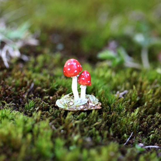 Tiny Toadstool A-64 by Wee Forest Folk®