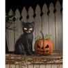 Black Cat Jack O'Lantern by Bethany Lowe Designs