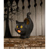 Scaredy Sassy Cat Bucket by Bethany Lowe Designs