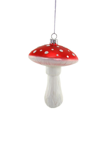 Cosmic Mushroom Ornament by Cody Foster