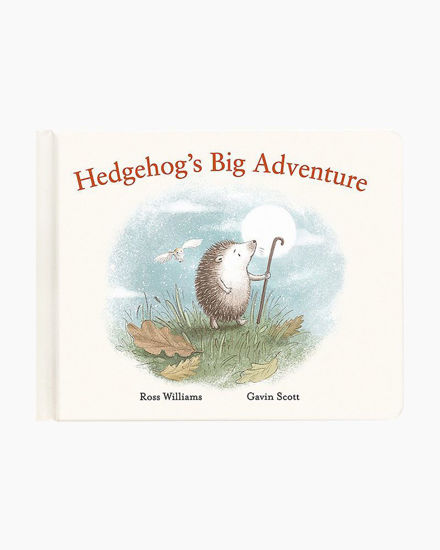 Hedgehog's Big Adventure Book by Jellycat