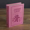Candyland Vintage Bookshelf Game by WS Game Company