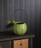 Small Green Pumpkin Bucket by Bethany Lowe