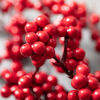 Red Berry 24" Wreath by Sullivans