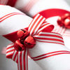 Giant Candy Cane Set by Sullivans