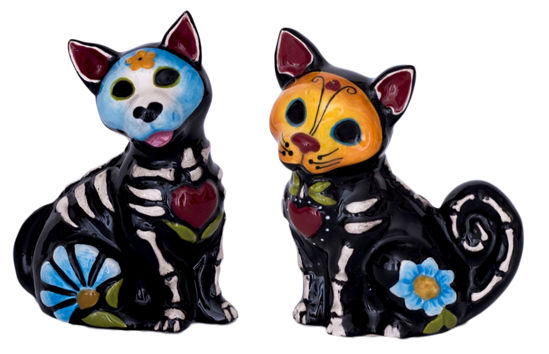 Day of the Dead Cat Salt and Pepper Set by Blue Sky Clayworks