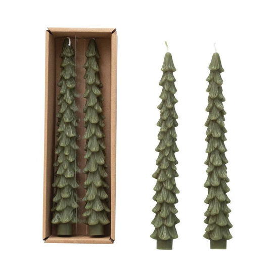 Unscented Taper Tree Candles Green by Creative Co-op