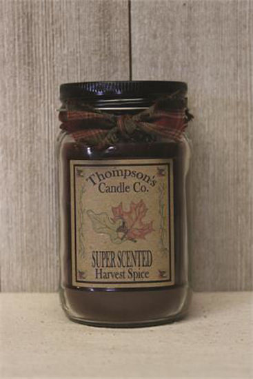 Harvest Spice Small Mason Jar Candle by Thompson's Candles Co