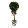 Courtly Boxwood Topiary Drop In - Small by MacKenzie-Childs