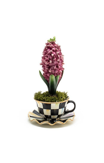 Teacup Hyacinth by MacKenzie-Childs