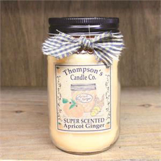 Apricot Ginger Small Mason Jar Candle by Thompson's Candles Co
