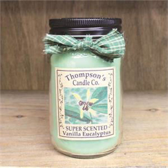 Vanilla Eucalyptus Small Mason Jar Candle by Thompson's Candles Co