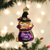 Trick-or-treat Kitty Ornament by Old World Christmas