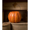 Spunky Pumpkin Bucket Paper Mache by Bethany Lowe Designs