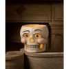 Silly Skelly Bucket Paper Mache by Bethany Lowe Designs
