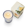 Picnic in the Park Boxed Votive Candle by Illume