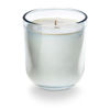 Picnic in the Park Daydream Glass Candle by Illume