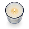 Picnic in the Park Daydream Glass Candle by Illume