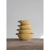 Stoneware Lemon Measuring Cups by Creative Co-op
