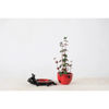 Stoneware Ladybug Planter by Creative Co-op