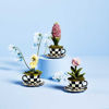 Teacup Hyacinth by MacKenzie-Childs