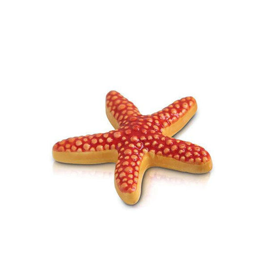 Sea Star Mini by Nora Fleming