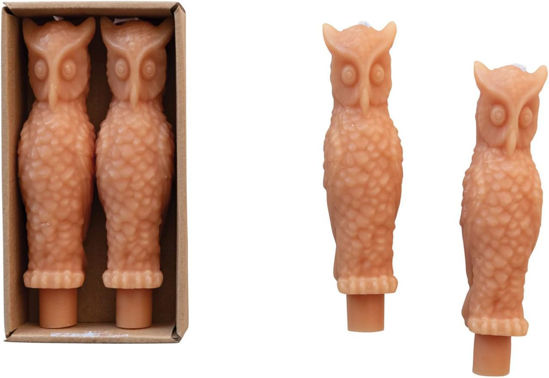 Orange Owl Taper Candles Set by Creative Co-op