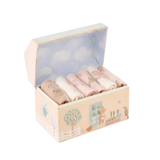 Garden Picnic Socks 0-12M Gift Set 6 Pack by Elegant Baby